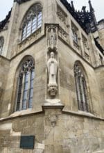 Rotkehlchen Münster