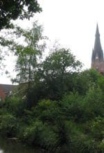 Bärige