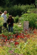 Gartengeheimnisse