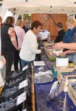 Pflaumenmarkt