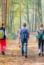 Freizeittipps: Raus aus dem Haus