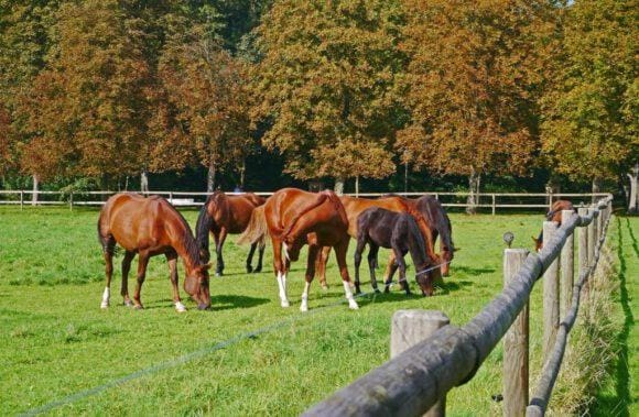Münsterland ist Urlaubsland