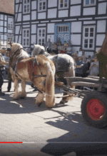 Osterräderlauf
