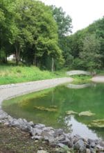Der Schwanenteich nach der Entschlammung und Wiederherstellung des Uferhangbereiches. Foto: LWL/Weiß