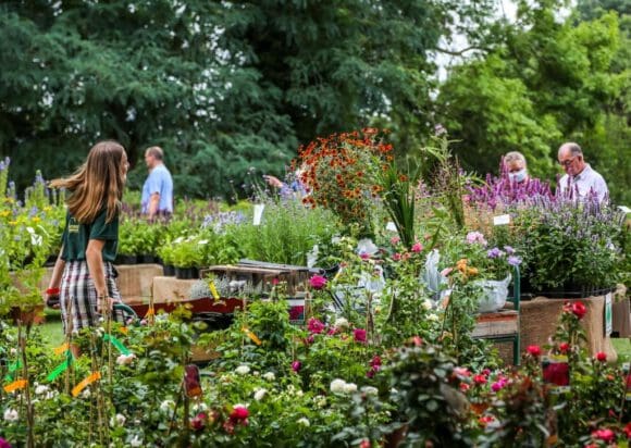 Parkfestival Romantik Garden findet statt