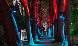 Unna: Stadtlichter leuchten wieder