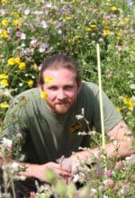 Doktorand Simon Blümel arbeitet am Forschungsprojekt „Attraktivität von Blühstreifen für Honigbiene, Wildbienen und Nützlinge landwirtschaftlicher Kulturpflanzen“ - Foto FH Südwestfalen