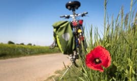 Die 5 schönsten Radtouren im Münsterland