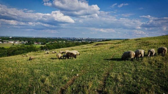 Ausflug zur Hohensyburg in Westfalen