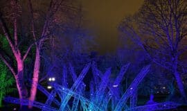 Westfalenpark leuchtet bis zum 16. Januar