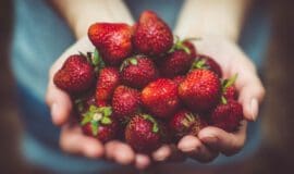 Köstliche Erdbeeren frisch gepflückt - Frühlingsküche 4