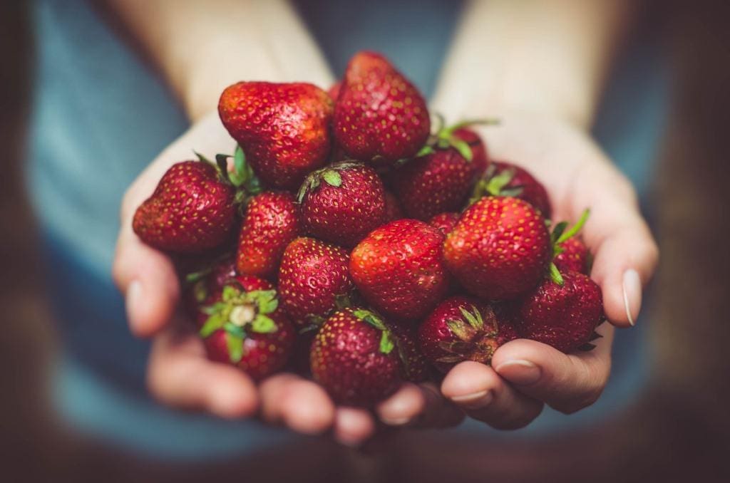 Für köstliche Erdbeeren ist wieder Saison