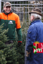 Weihnachtsbaum