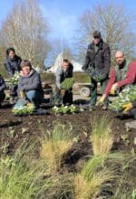Gartengeheimnisse