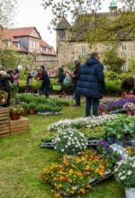 Pflanzenmarkt