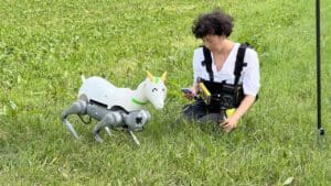 Zur Ausstellung „Happiest Places“ des Kunstvereins Siegen findet am 22. Juni um 19 Uhr eine gemeinsame Wanderung mit Künstlerin Tintin Patrone und einem Ziegenroboter statt - Foto Kunstverein Siegen