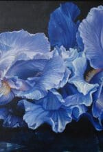 Blumen in Beckum