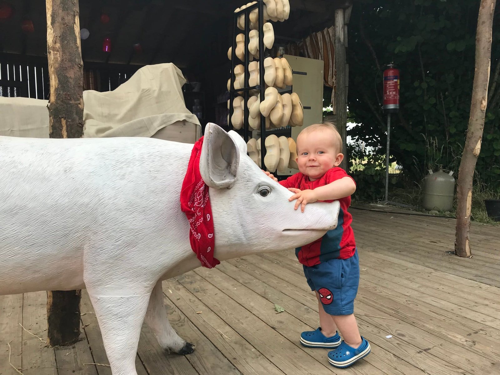 Country Fair