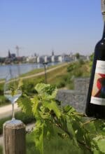 Emscher Wein