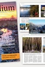Jetzt im Handel