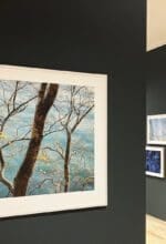Arbeiten von Naturfotografin Sandra Bartocha sind noch bis zum 9. Februar in der Galerie Iserlohn zu sehen. Die Finissage beginnt um 14 Uhr - Foto Pressestelle Stadt Iserlohn