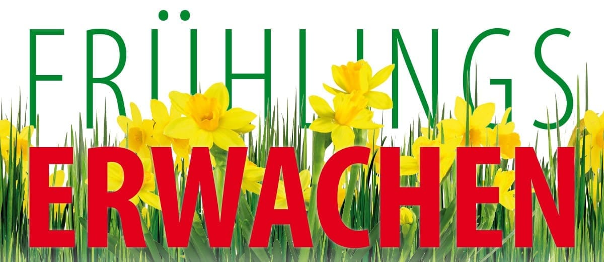 Saisonstart im gartenschaupark - Frühlings Erwachen