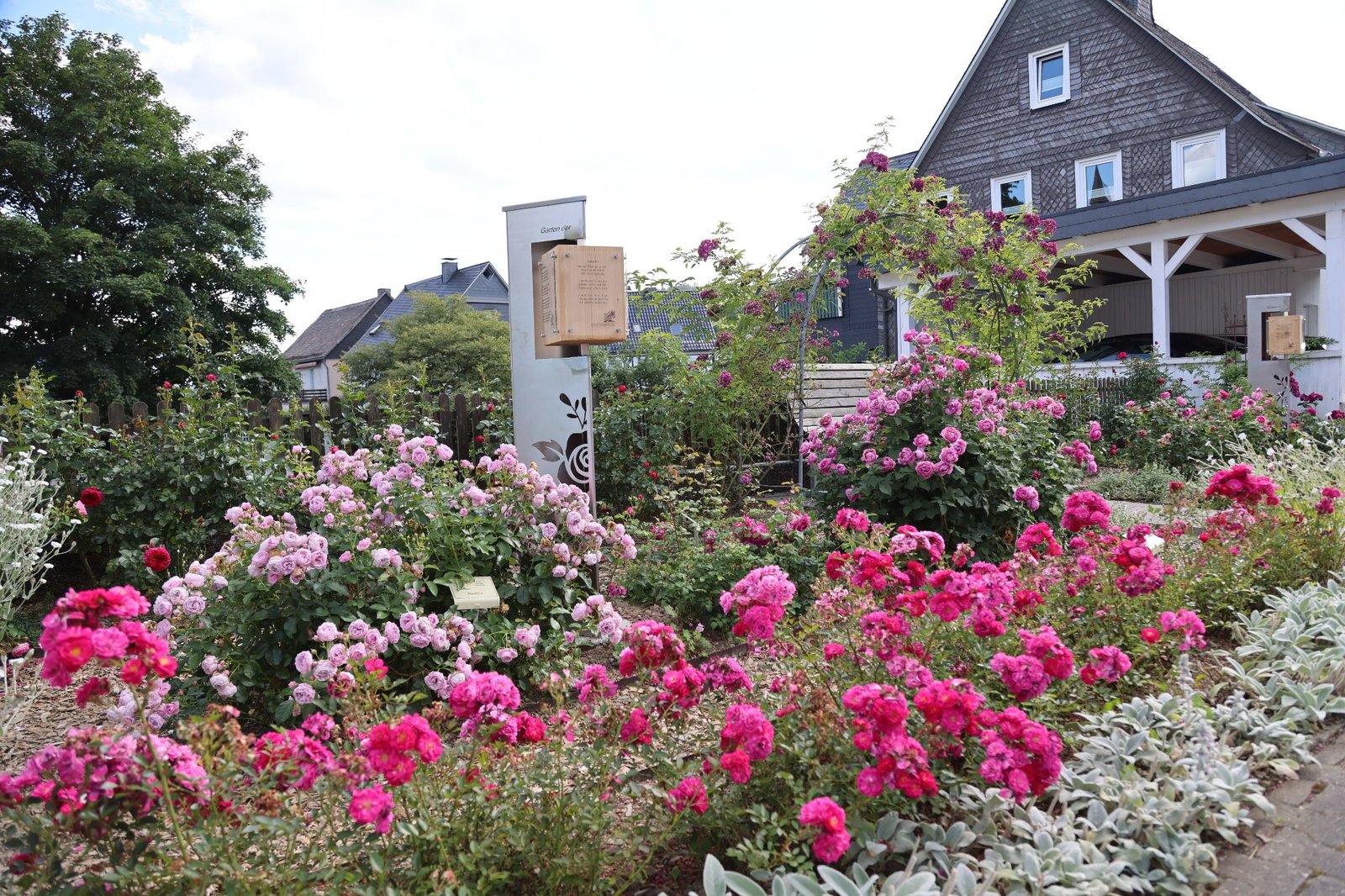 Im Garten der Poesie gibt es nicht nur Rosenbeete. Auf drehbaren Holzwürfeln ist Rosenpoesie zu lesen. Tipp vom Rosenverein: "Lassen Sie sich von der Poesie, der Farbe Purpur und dem Duft der Rosen verzaubern und vielleicht auch zu ein paar Zeilen Rosenpoesie inspirieren" - Foto Rosenverein Assinghausen