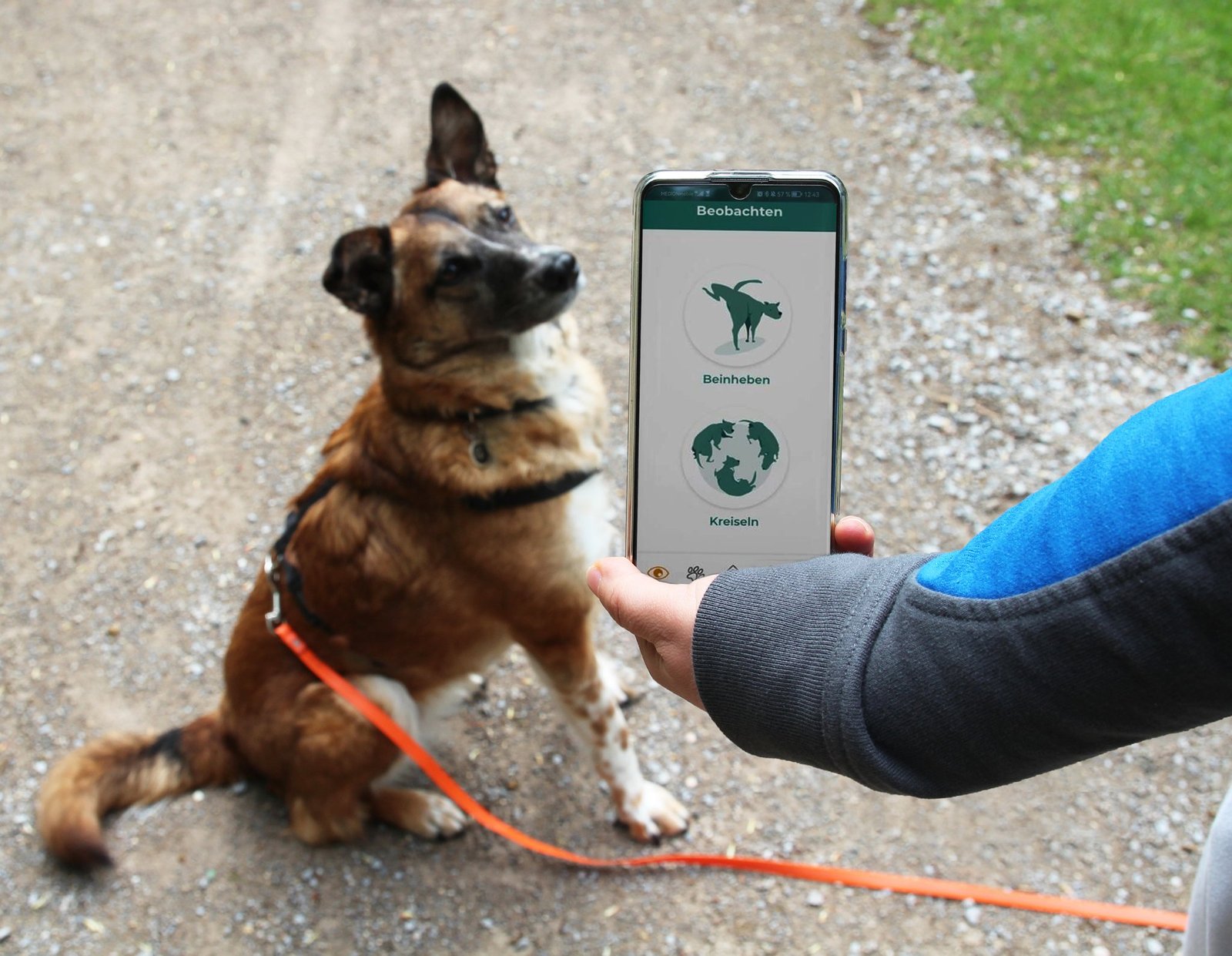 Hundehalter sind für Forschungsprojekt gefragt