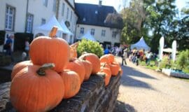 20250924_timpe_landpartie_herbst_wocklum_380_bu