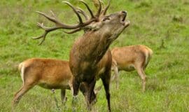 Naturerlebnis Bilsteintal