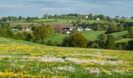 Eine Geschichte aus Breckerfeld, erzählt der Kiepenkerl Breckerfeld