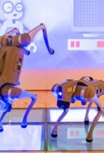 Roboterhunde