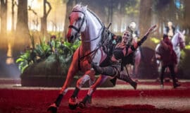 Pferdeshow Cavalluna: Magie auf vier Hufen Waghalsiges_Trickreiten