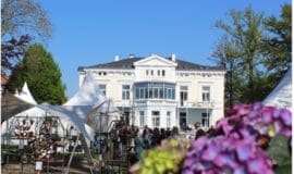 white garden