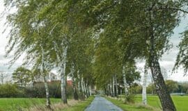 Wandererlebnisse im Münsterland führen zu Hofcafés hpgruesen-autumn-wind-3789853