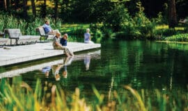 Gärten und Parks: Ein Wochenende im Grünen LWL_Tage der Gärten und Parks in Westfalen-Lippe_Gartenschaupark Bad Lippspringe_Besim Mazhiqi