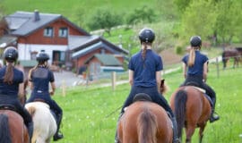 Heinemanns Hof bietet tierisch gute Ferien reiten-240456
