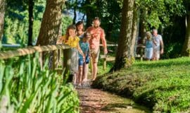 Für die ganze Familie: Abenteuer im Aatal Bad-Wuennenberg_Barfusspfad_CC-BY-SA_Bad-Wuennenberg-Touristik-GmbH_Patrick-Gawandtka