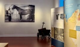 Blick in die Ausstellung