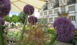 Landpartie Schloß Neuhaus