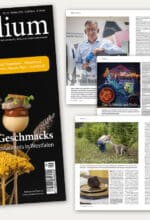 Herbstzeit in Westfalen