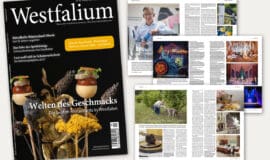 Herbstzeit in Westfalen