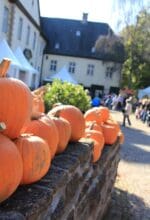 Herbstliche Landpartie