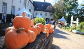 Herbstliche Landpartie