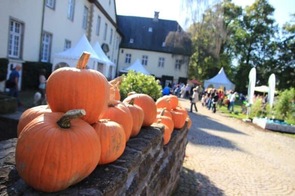 Herbstliche Landpartie